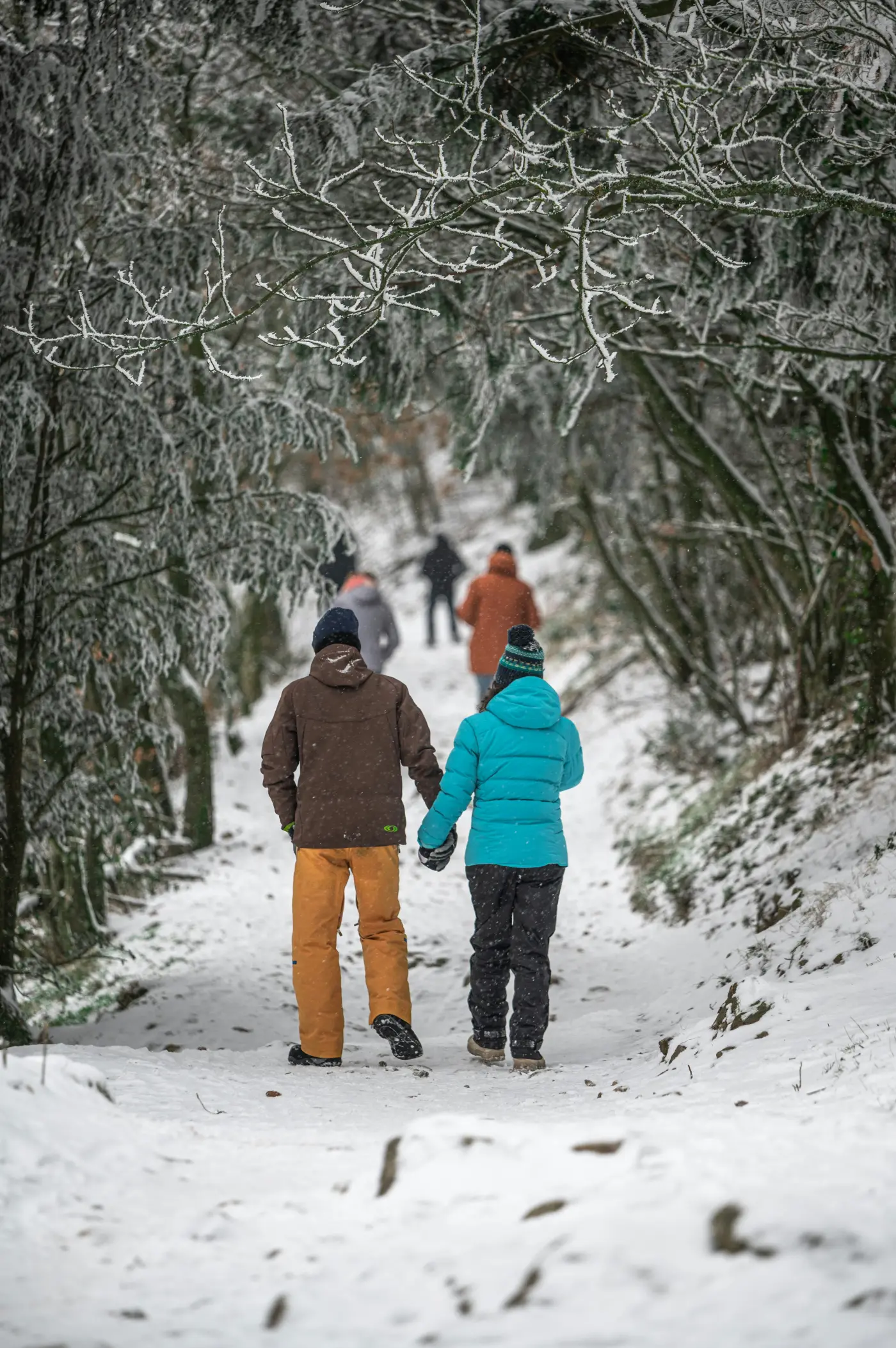Casal de mãos dadas numa trilha na neve