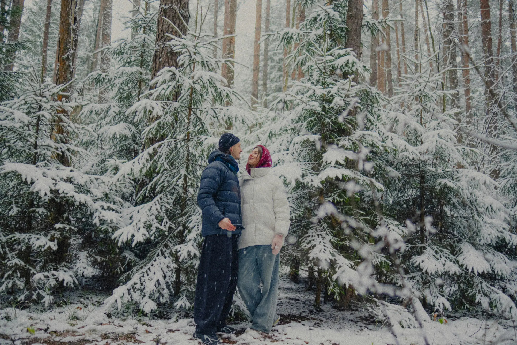 Casal na neve, entre pinheiros nevados